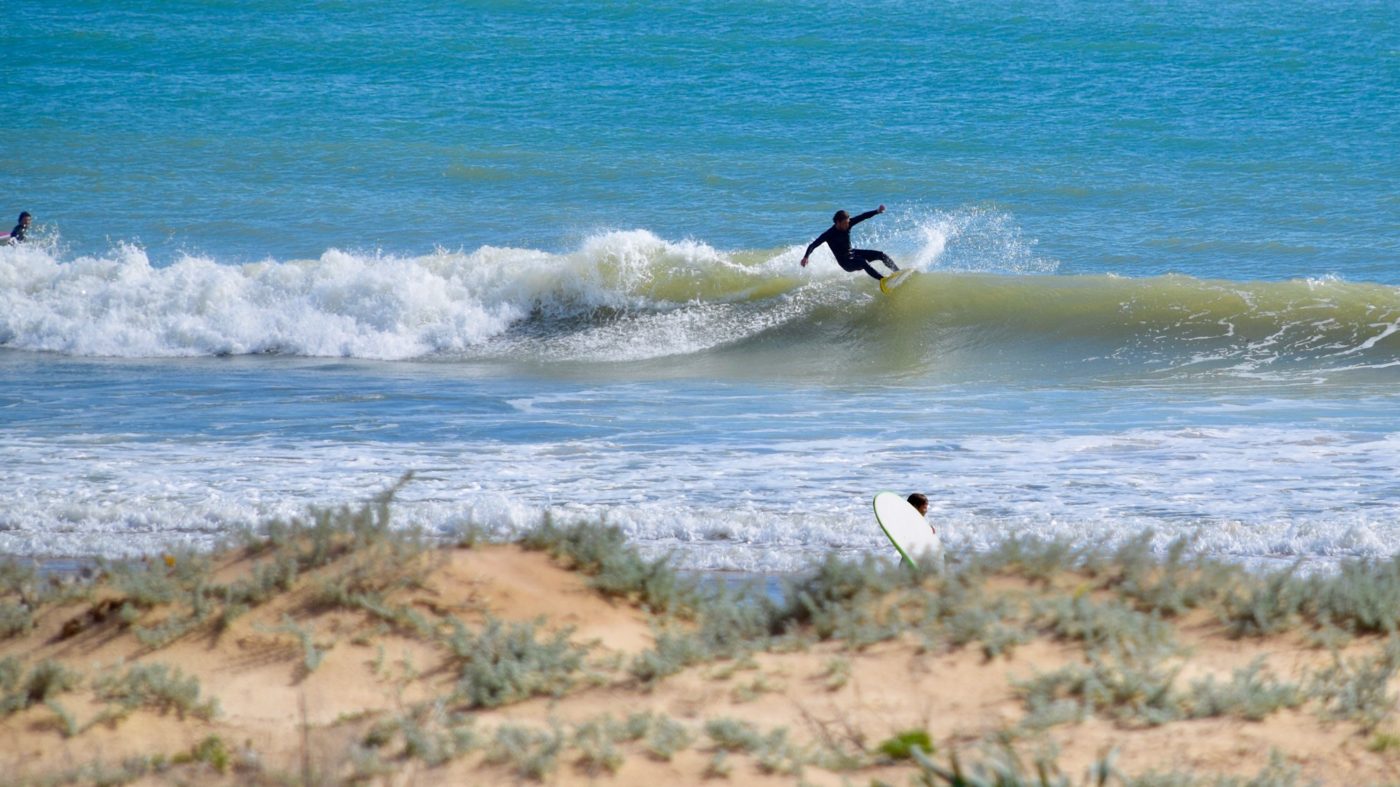 surf meia praia lagos