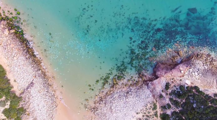 See the beauty of the Algarve