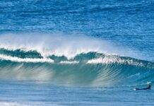 Surfers 6 times more likely to develop skin cancer surfers more likely to develop skin cancer