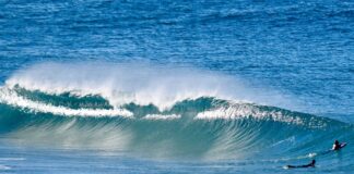 Surfers 6 times more likely to develop skin cancer surfers more likely to develop skin cancer