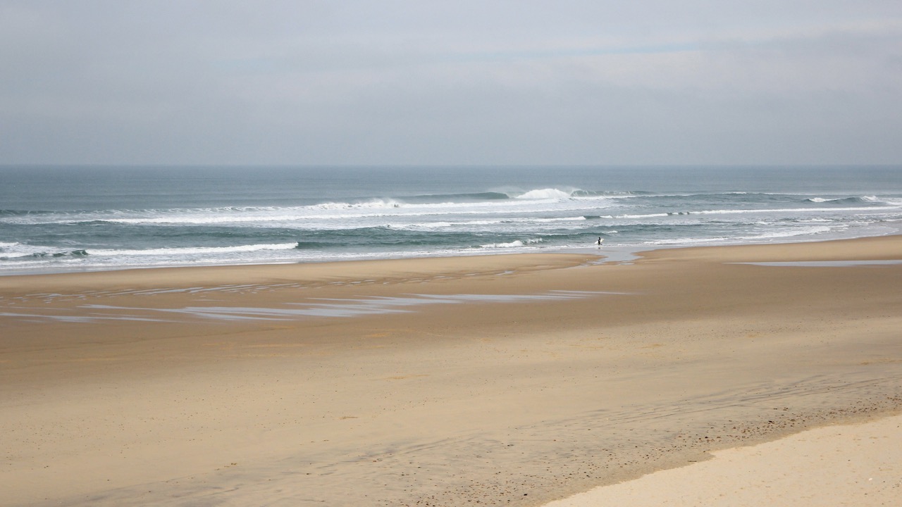 Les Landes surf