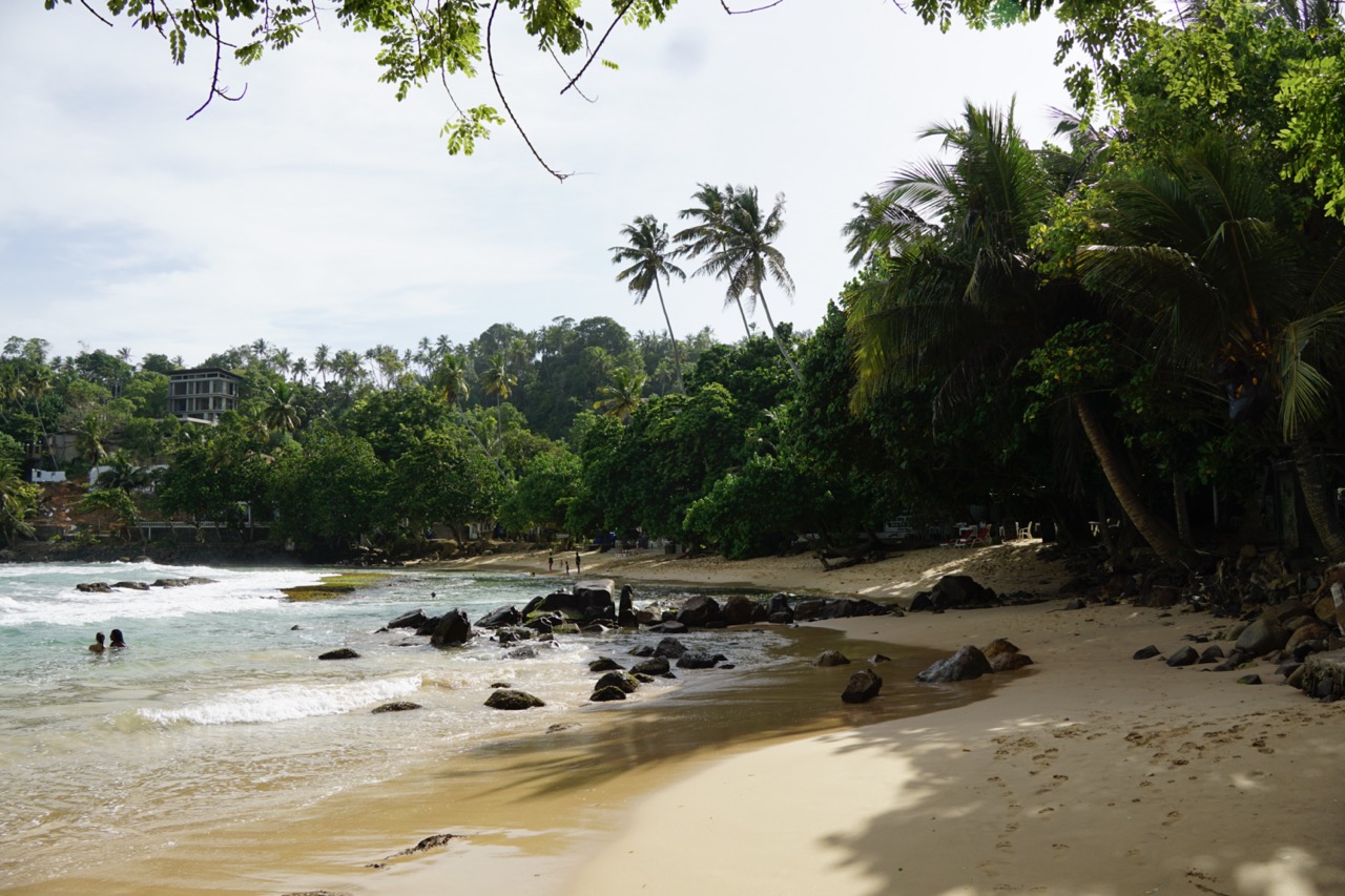 mirissa surf sri lanka