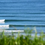 sanvi surf