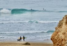 Why the Algarve in winter? surfing south west coast algarve