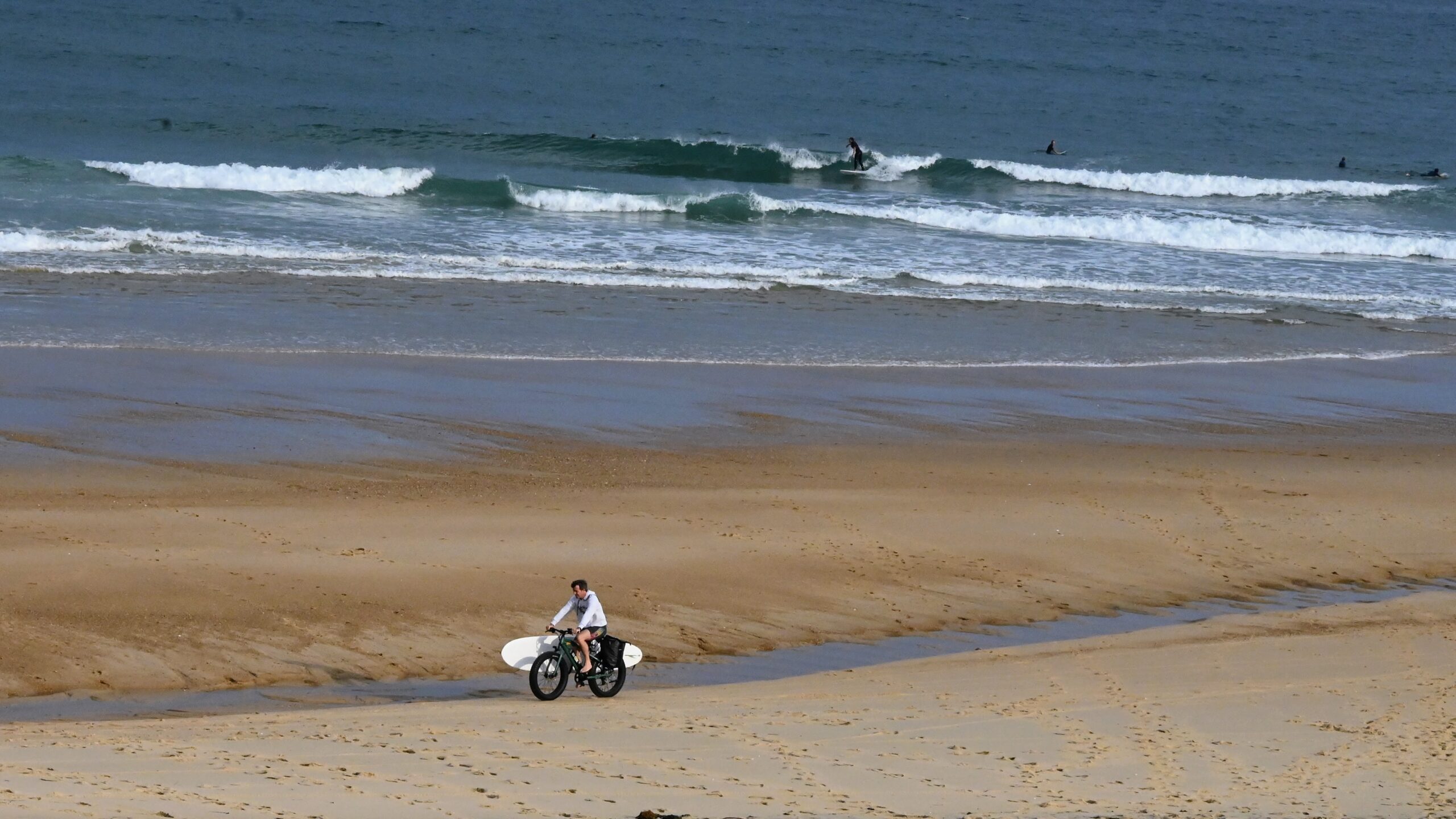 fatbikes beach