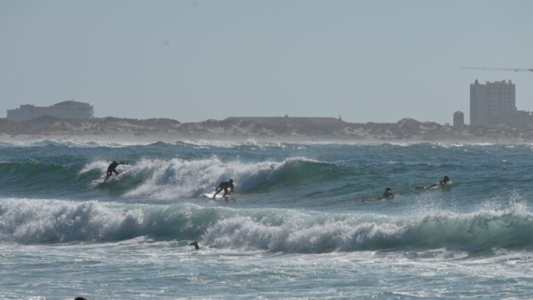 Rent a Surfboard in Portugal