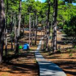 emplacement-camping-la-grigne