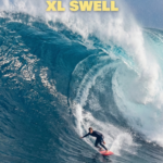 Gemini_Generated_Image_safleqsafleqsafl