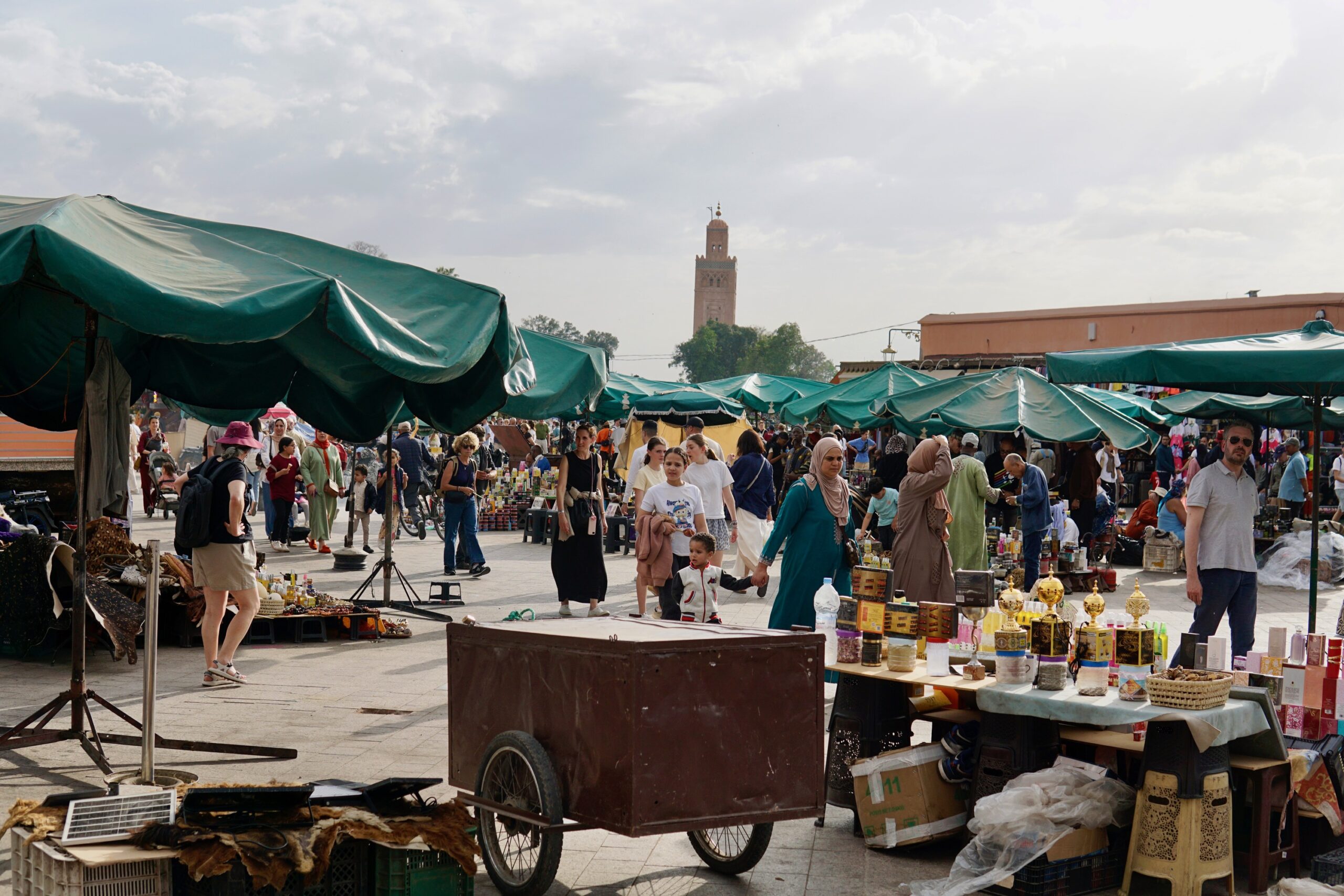 Road trip from Taghazout to Marrakesh