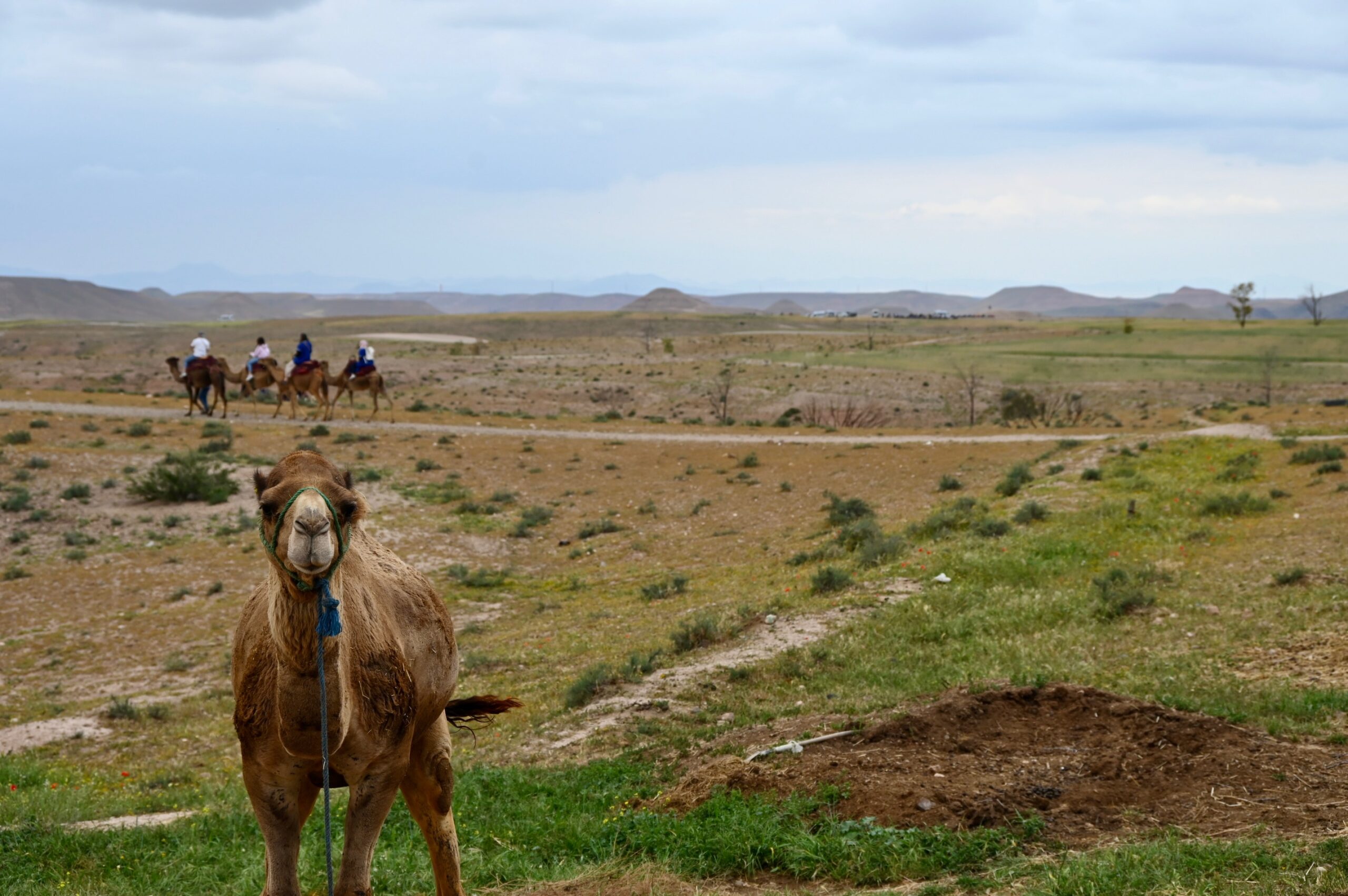 Agafay Desert near Marrakesh Morocco