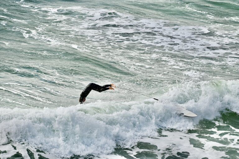 patagonia wetsuit review